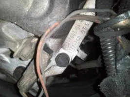 WP_000670.webp