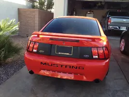 Back Shot.webp