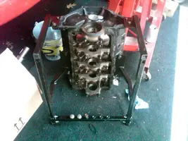 IMG-20130805-00081.webp