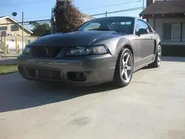 03cobra1.webp
