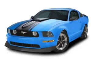dgfgfdg.webp