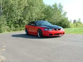 TwoTonedslammedStang.webp