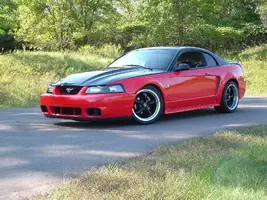 TwoTonedslammedStang2.webp