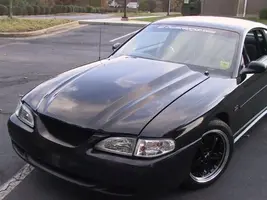 img0398mediumgf9.webp