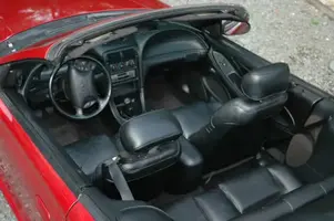 mustang4.webp