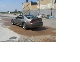mustang1.webp