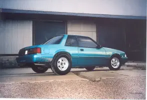 stang1.webp
