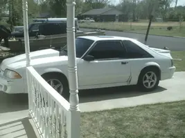 stang1.webp