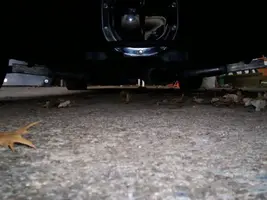 undercar.webp