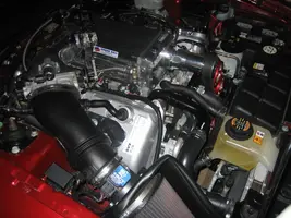 img0543qq6.webp