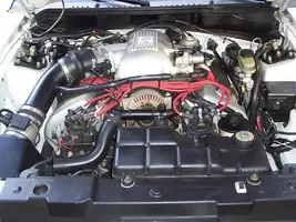 Cobra10.webp