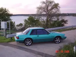 Picture015.webp