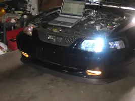 HIDs-1.webp