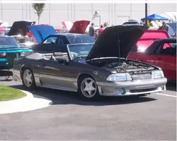 stanglowered2.webp