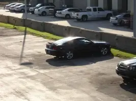 mustang-2.webp