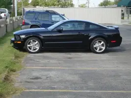 mustang-1.webp