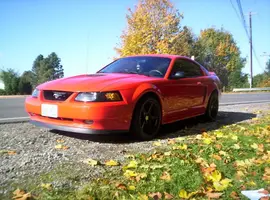 gtfall06004.webp
