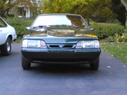 stang3.jpg