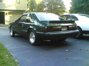 stang6.jpg
