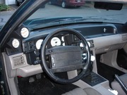 stang7.jpg