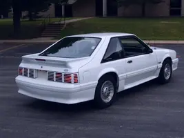 Newstang001-1.webp