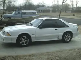Picture039.webp