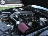 th_mustangandfocus003-1.webp