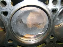 Pistonpic1.webp