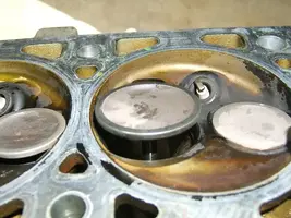 Valve.webp