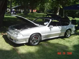 augustshow06056.webp