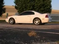 newstangpics002gtgxg1.th.webp