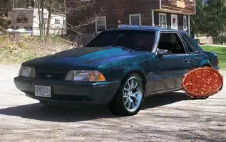 stang.webp