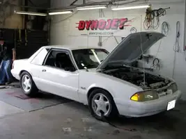 dyno1.webp
