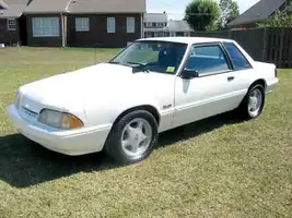 notchback4.webp