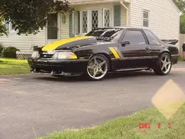 saleenbotch-2.webp