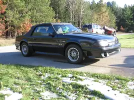 stang2.webp