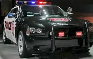 dodge20charger20police20car20in20sc.webp