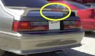 mustangback.webp
