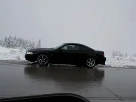 girlmustang.webp