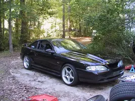 img0281mediumqp0.webp