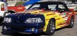HPIM0075-1.webp