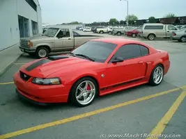 stevemach1work.webp