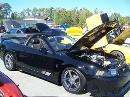 Picture007.webp