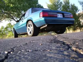 IMGP0002.webp