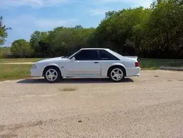 stang1.webp