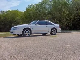 stang2.webp