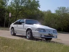 stang4.webp