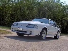 stang3.webp