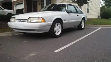 1094666_10153111633310567_1834065633_o[1].webp