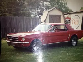 Mustang2.webp